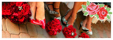 ADULTGROUPS/weddingshoes2.jpg